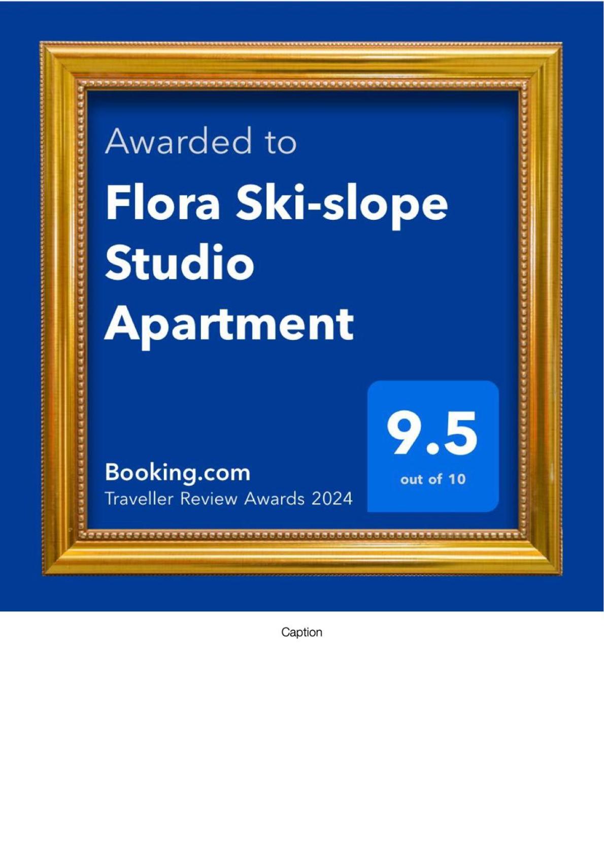 Flora Ski-Slope Studio Apartment Borovets Exterior photo